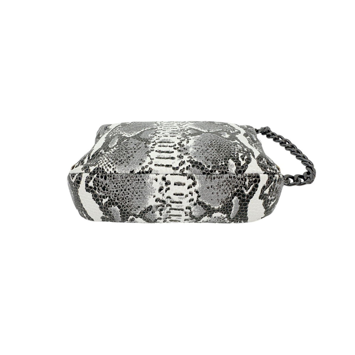 BLAIR RITCHEY PAKmini in Snakeskin