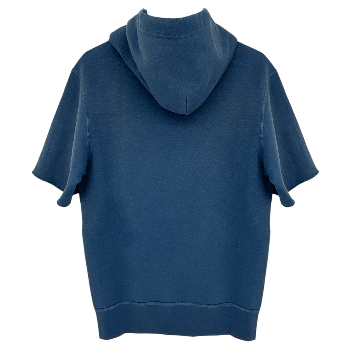 POLO RALPH LAUREN Fleece Graphic Hoodie in Laguna Blue S