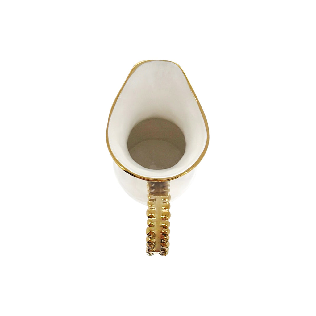 PAMPA BAY Golden Salerno Pitcher