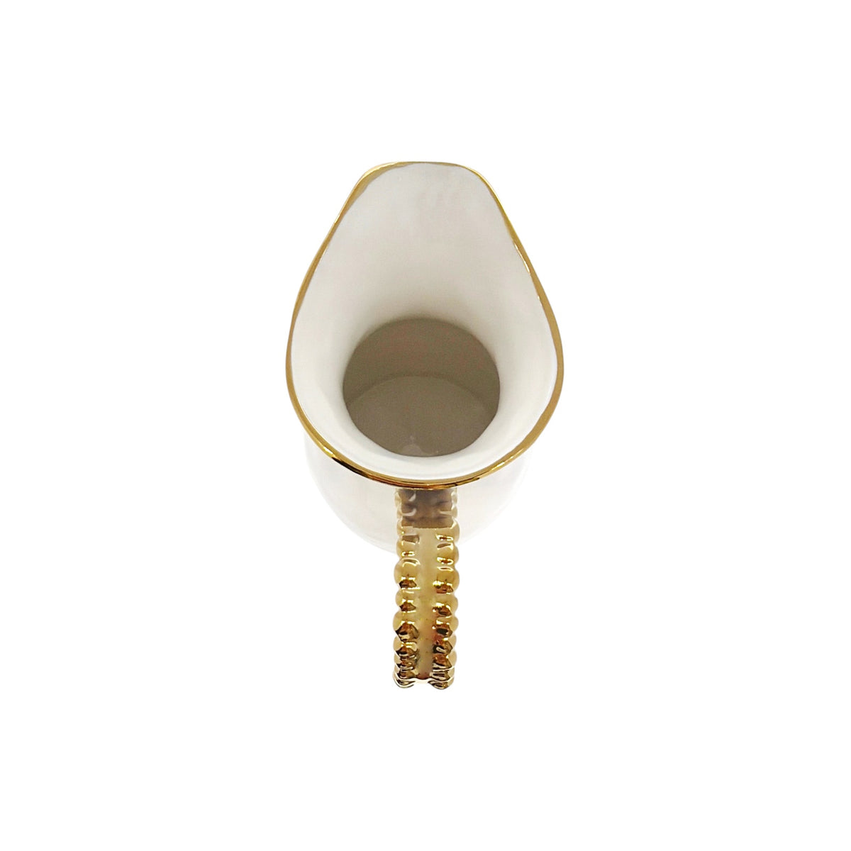 PAMPA BAY Golden Salerno Pitcher