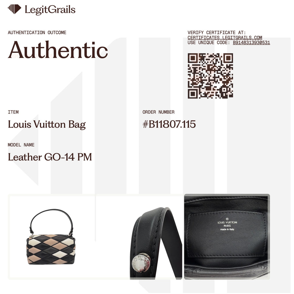 LOUIS VUITTON Leather GO-14 PM Patchwork Malletage Pattern