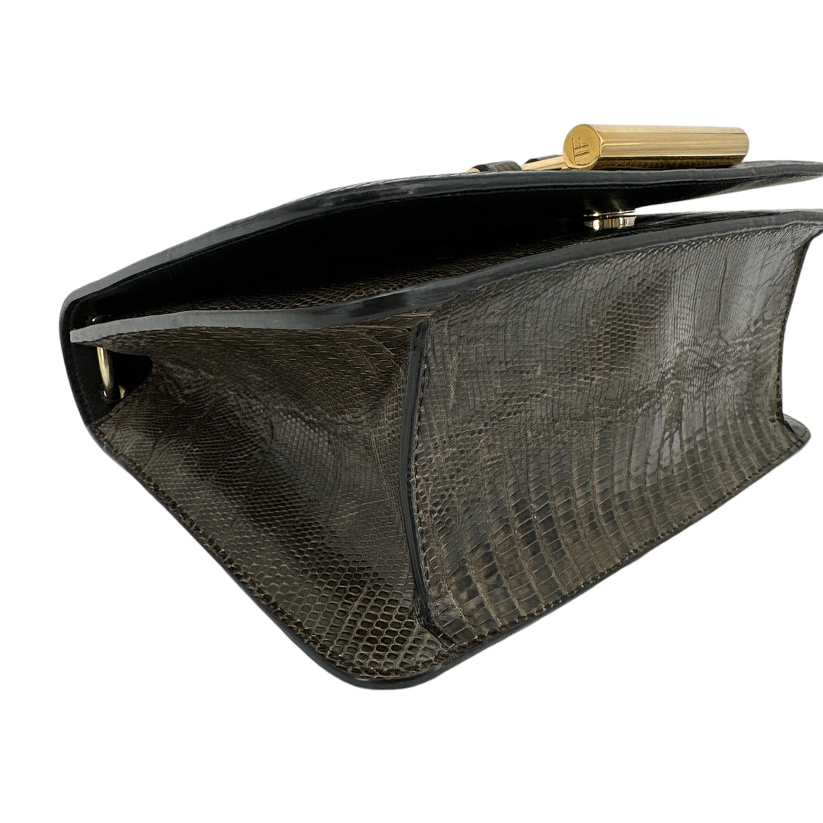 TOM FORD Tara Chain Tejus Lizard Shoulder Bag