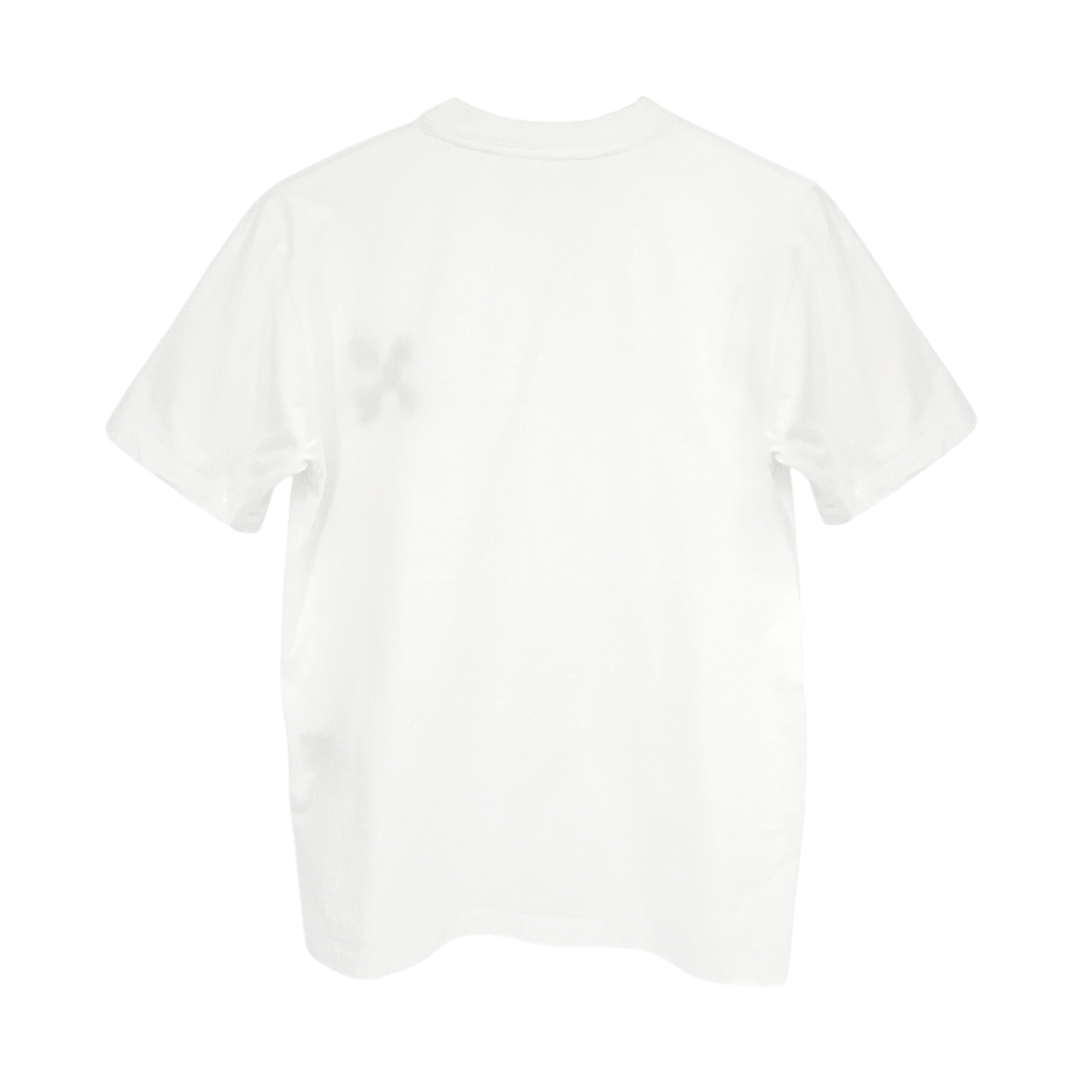 OFF-WHITE Embroidered Mini Floral Arrows Tee in White S