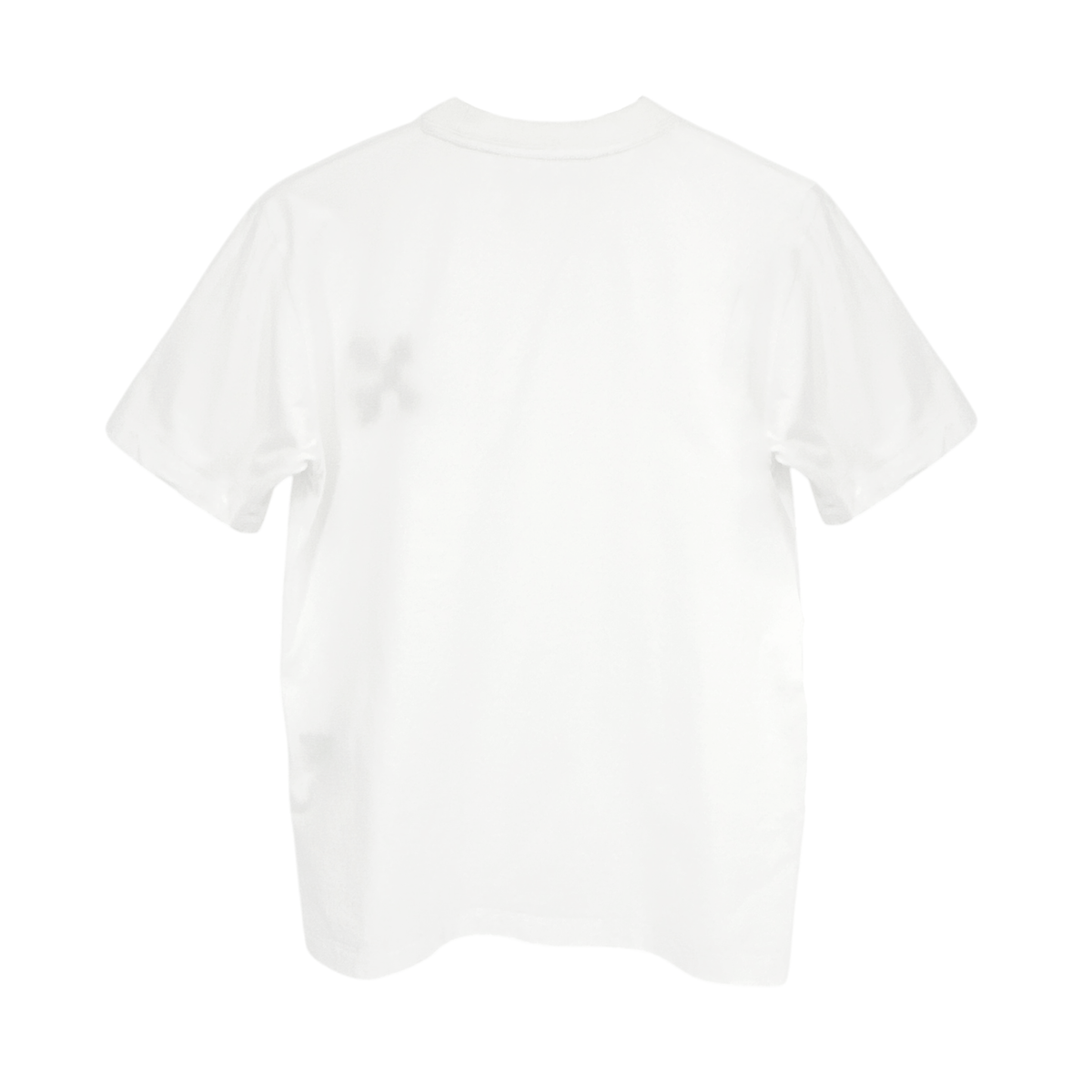 OFF-WHITE Embroidered Mini Floral Arrows Tee in White S