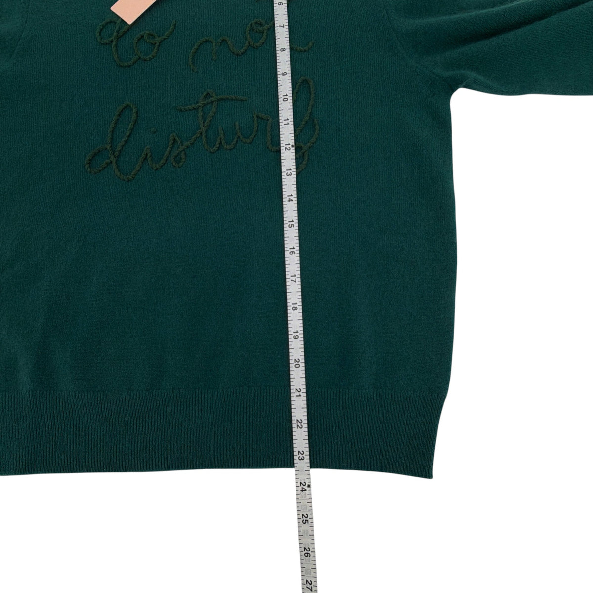 LINGUA FRANCA Do Not Disturb Cashmere Crewneck Sweater in Hunter M