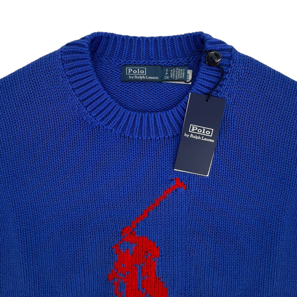 POLO RALPH LAUREN Long Sleeve Crew Neck Pullover in Bright Royal S