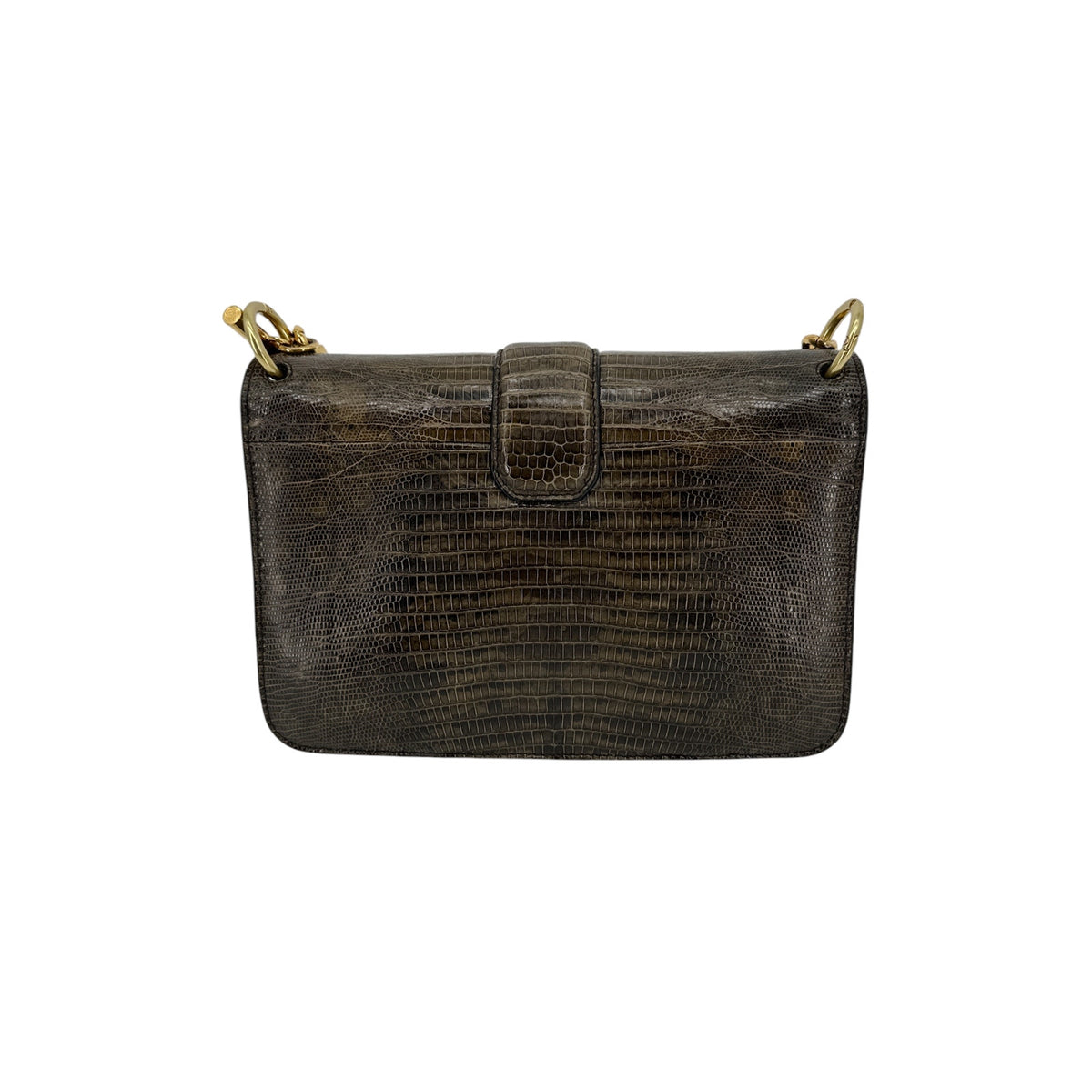 TOM FORD Tara Chain Tejus Lizard Shoulder Bag